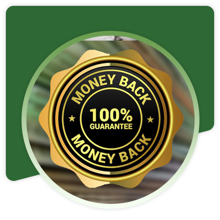 Money Back Guarantee ( Plan -8 ...